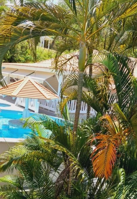 Les Hauts du Cap - Bar - Piscine