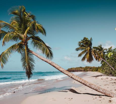 Les Hauts du Cap - Beach - Martinique