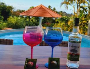 Les Hauts du Cap - Chambre